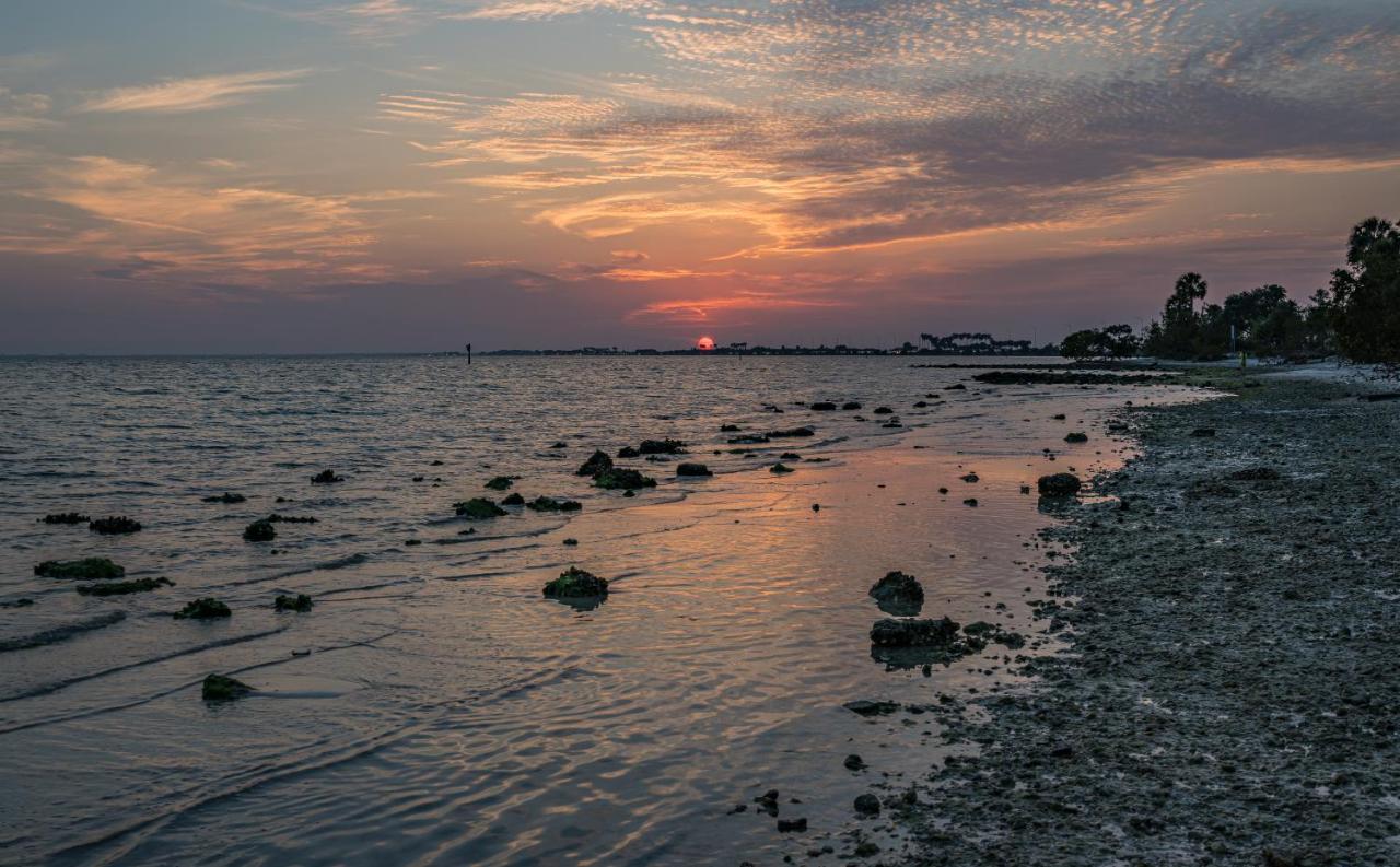 Sunset Paradise - Find Yourself In Tampa Kültér fotó