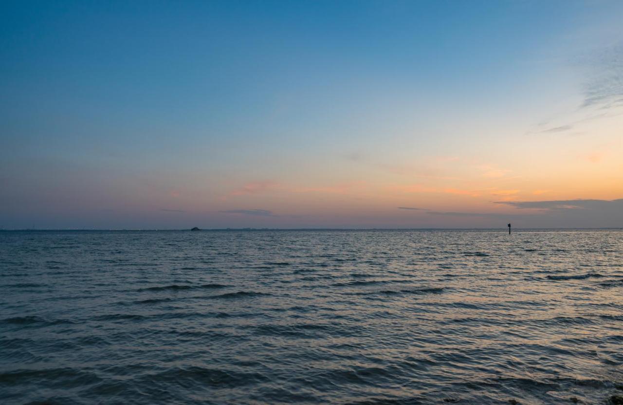 Sunset Paradise - Find Yourself In Tampa Kültér fotó